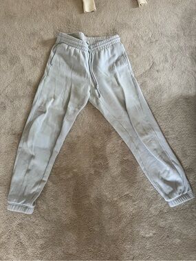Aritzia Light Blue Boyfriend Sweatpants